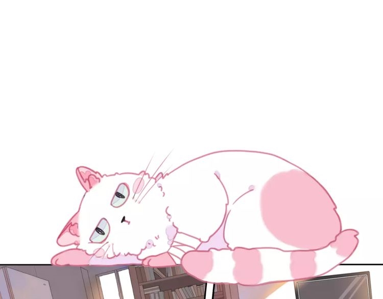 A Cat's World Transformation 第12页