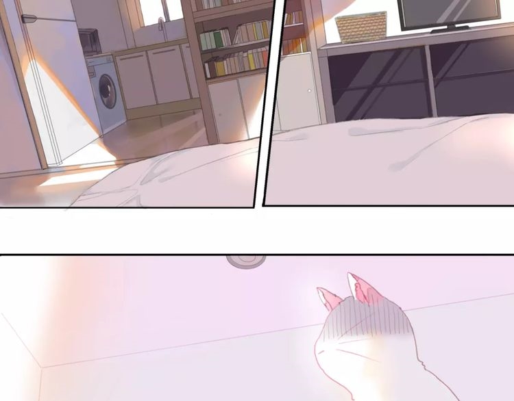 A Cat's World Transformation 第13页