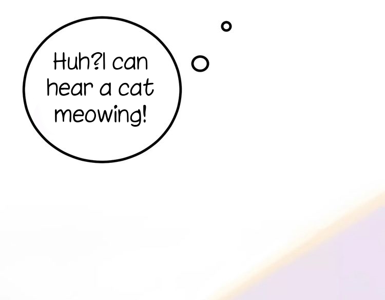 A Cat's World Transformation 第16页