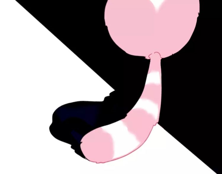 A Cat's World Transformation 第3页