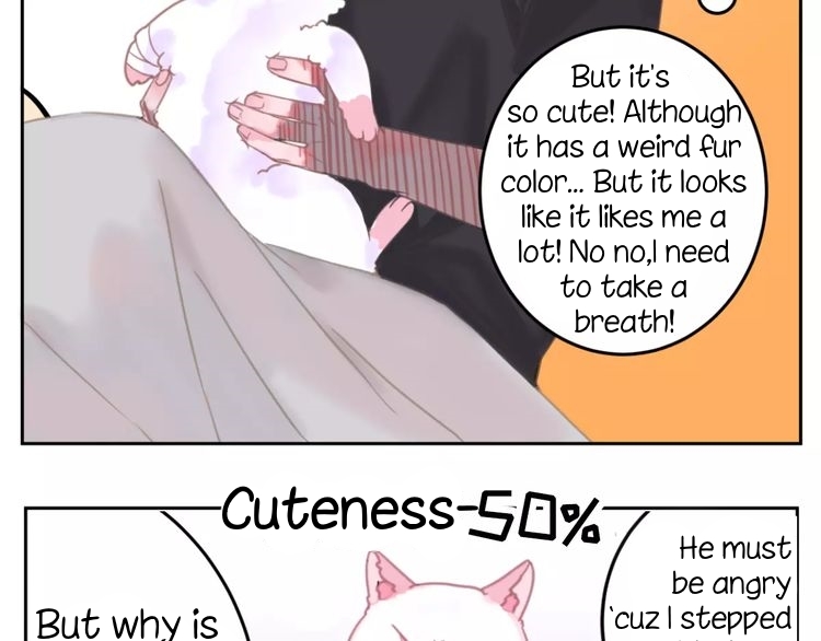 A Cat's World Transformation 第52页