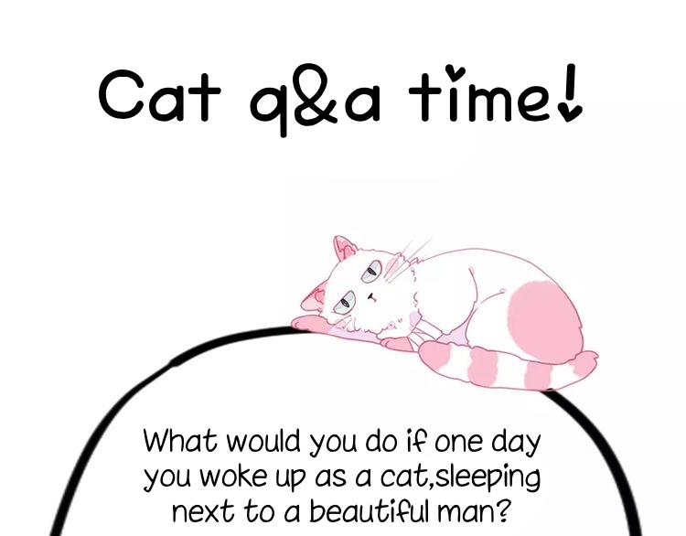 A Cat's World Transformation 第80页