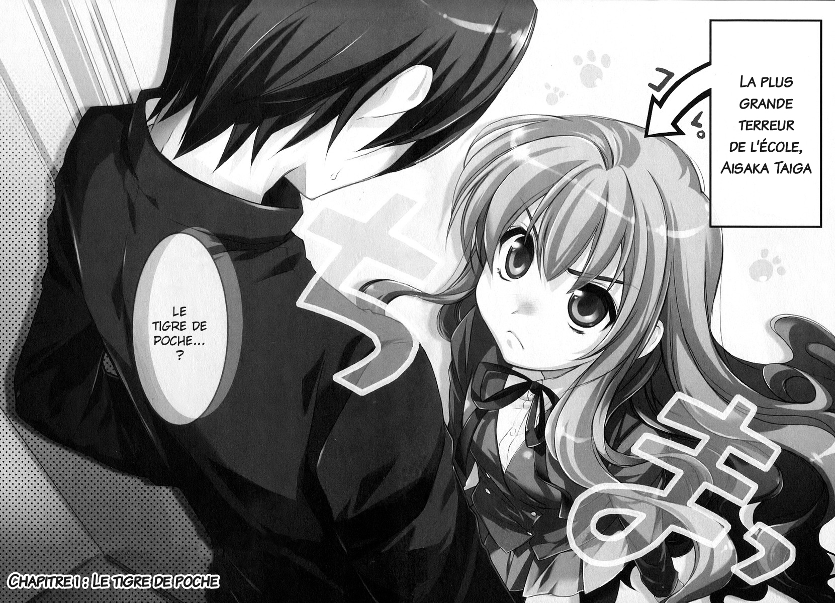 Toradora! Le tigre de poche 第2页