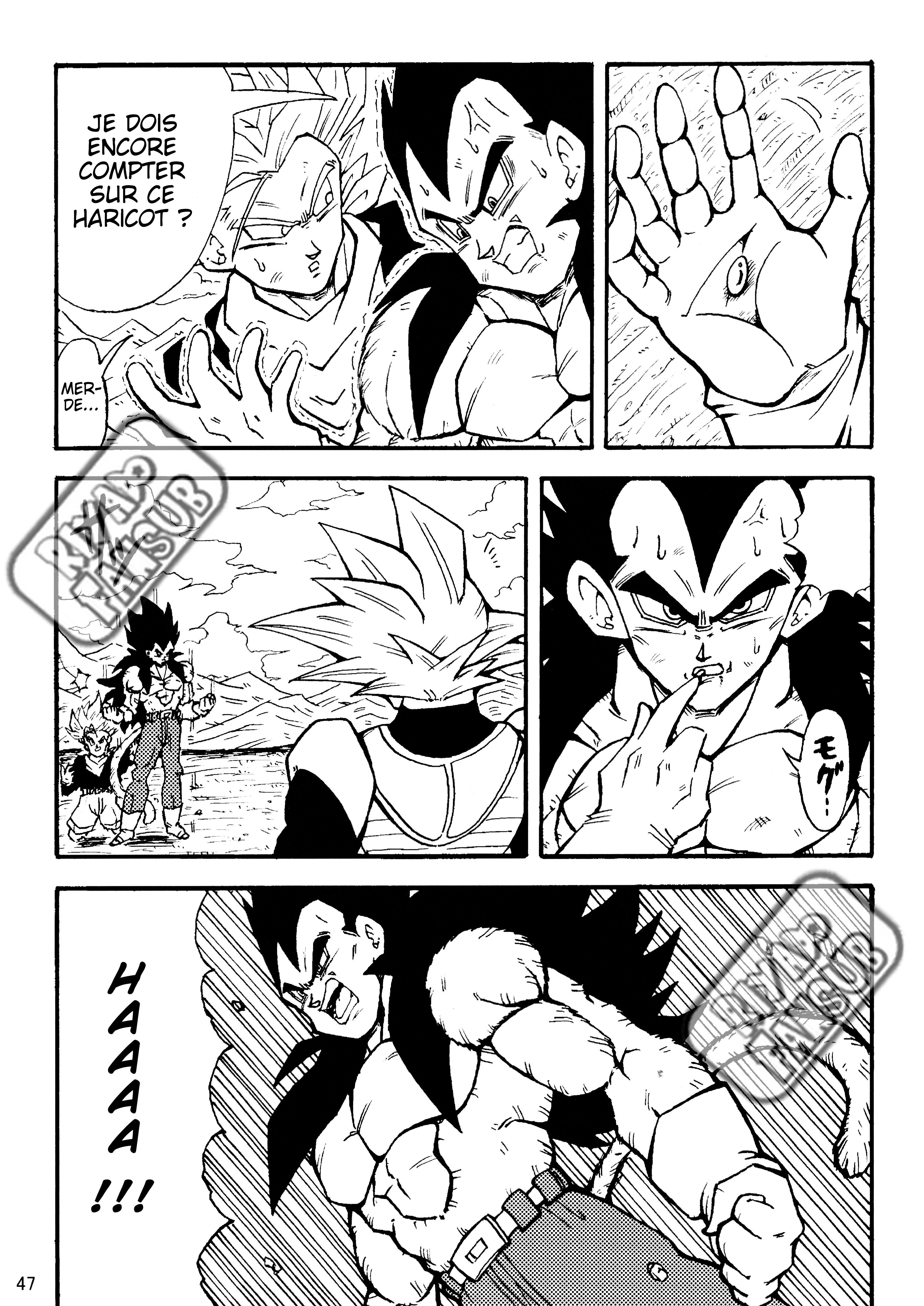 Dragon Ball LE (Doujinshi) Les clones crées par Zéro !! 第48页