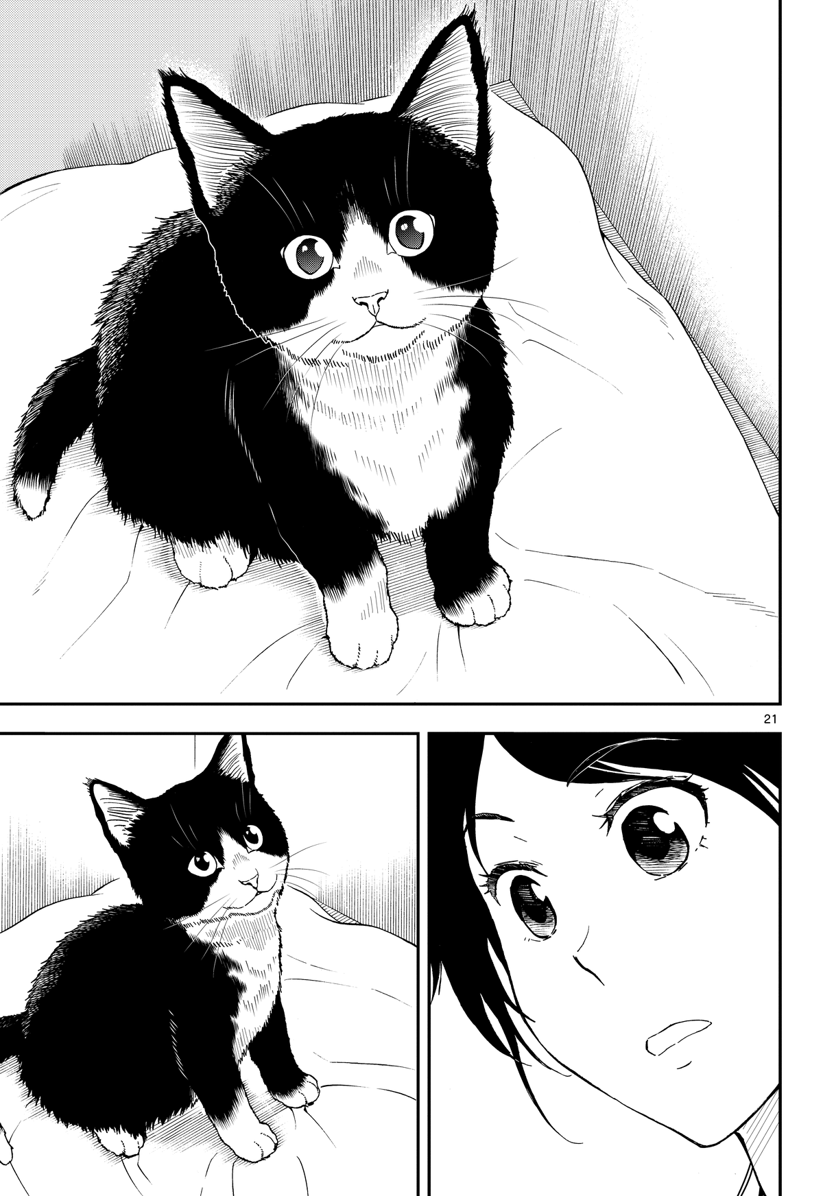 Neko Gurashi no Gamer-san Vol. 1 Ch. 1 第20页