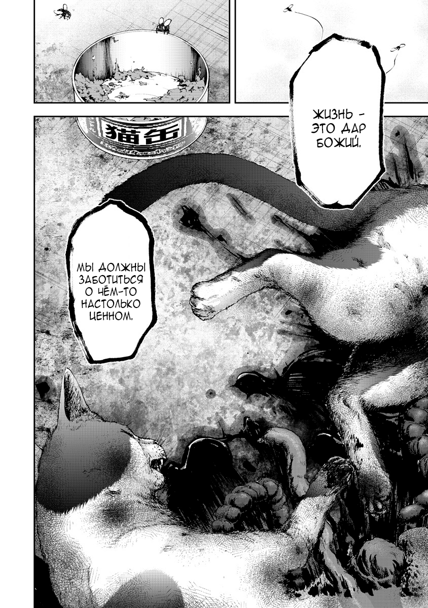 Gift± Кит 第24页
