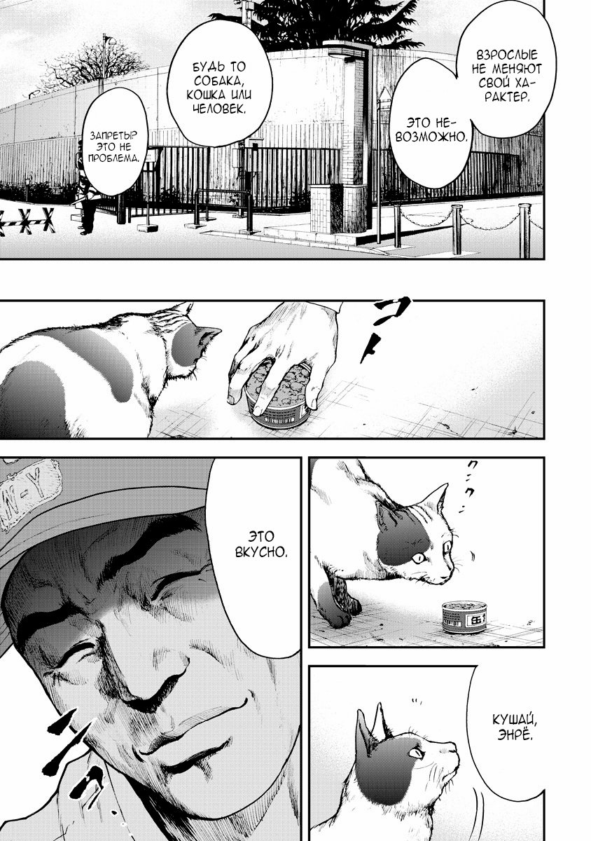 Gift± Кит 第10页