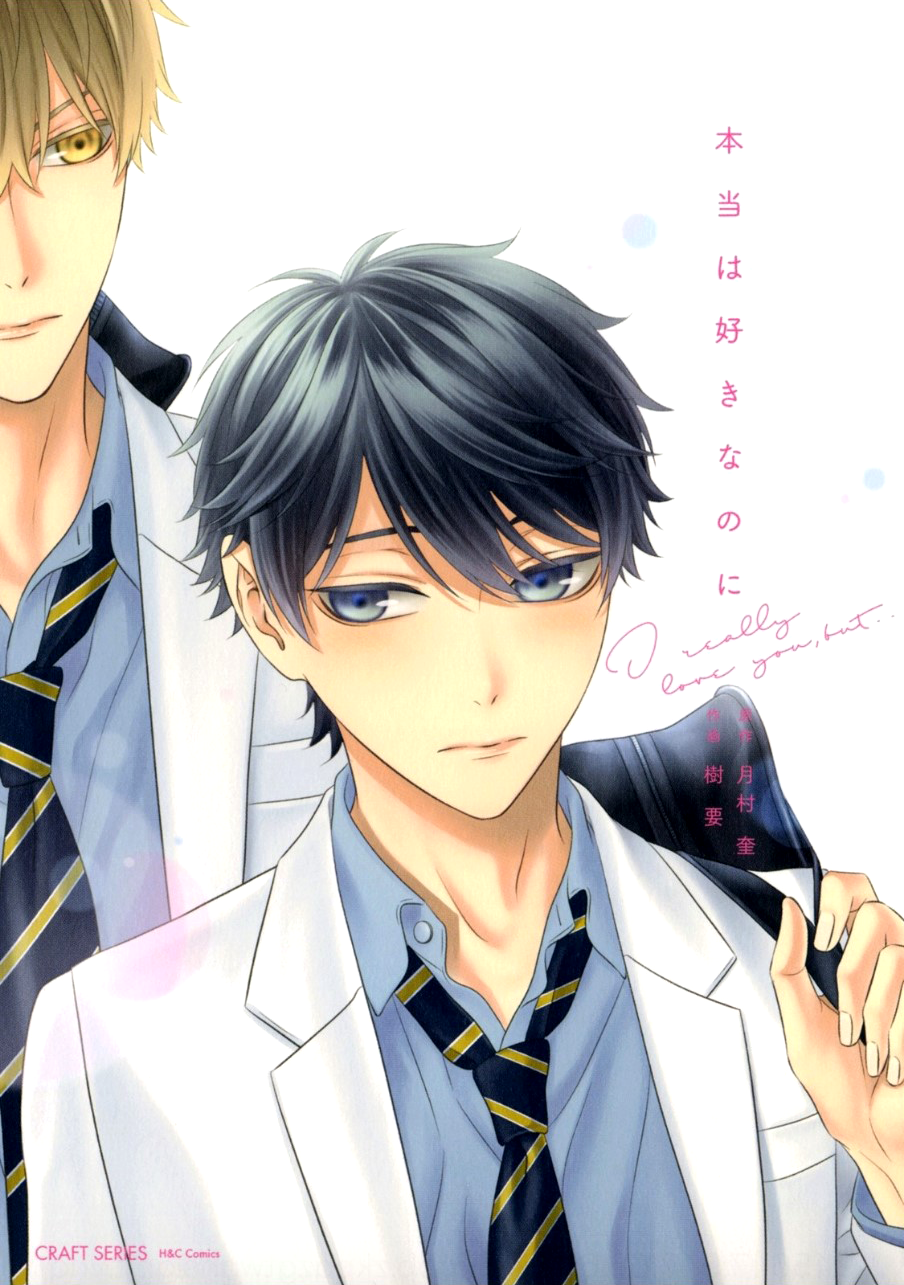 Hontou wa Suki na no ni 第2页