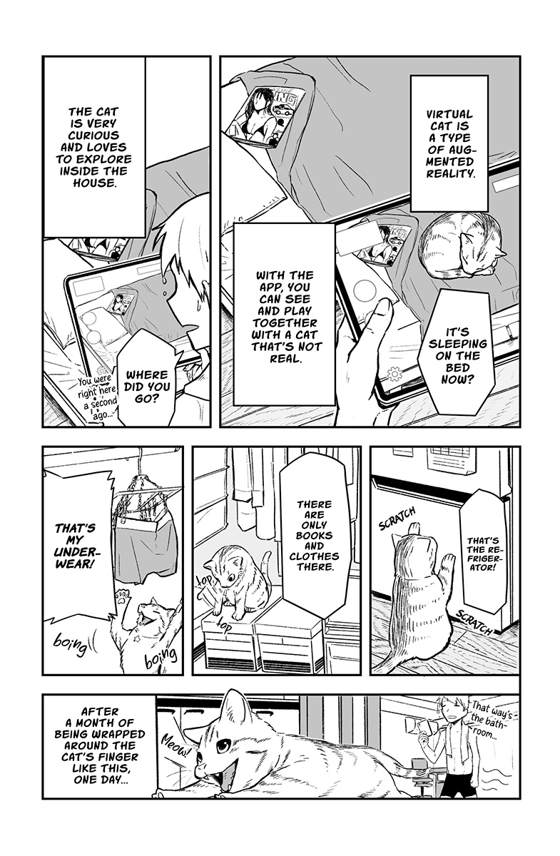 Virtual Cat 第2页