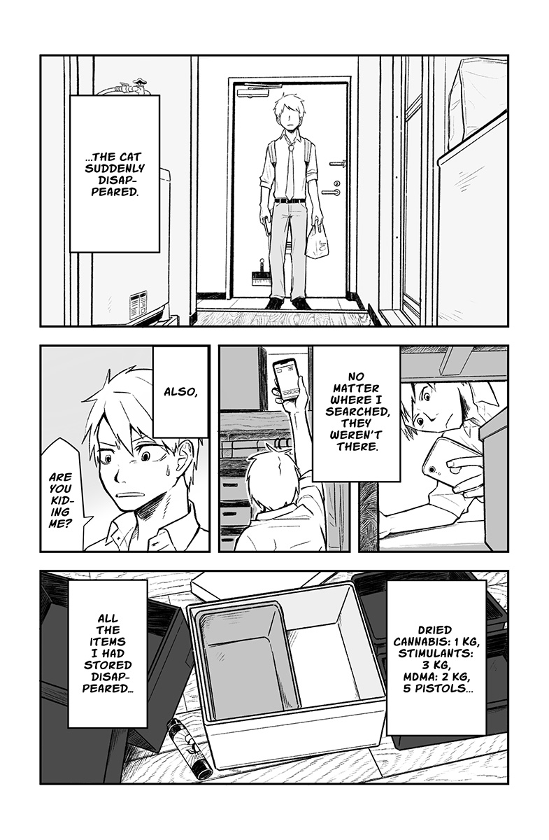 Virtual Cat 第3页