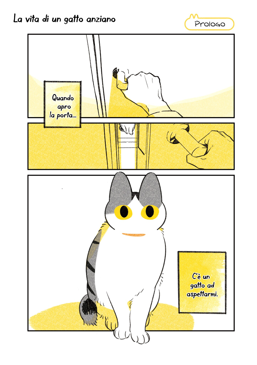 Life with a Grandpa Cat 第7页