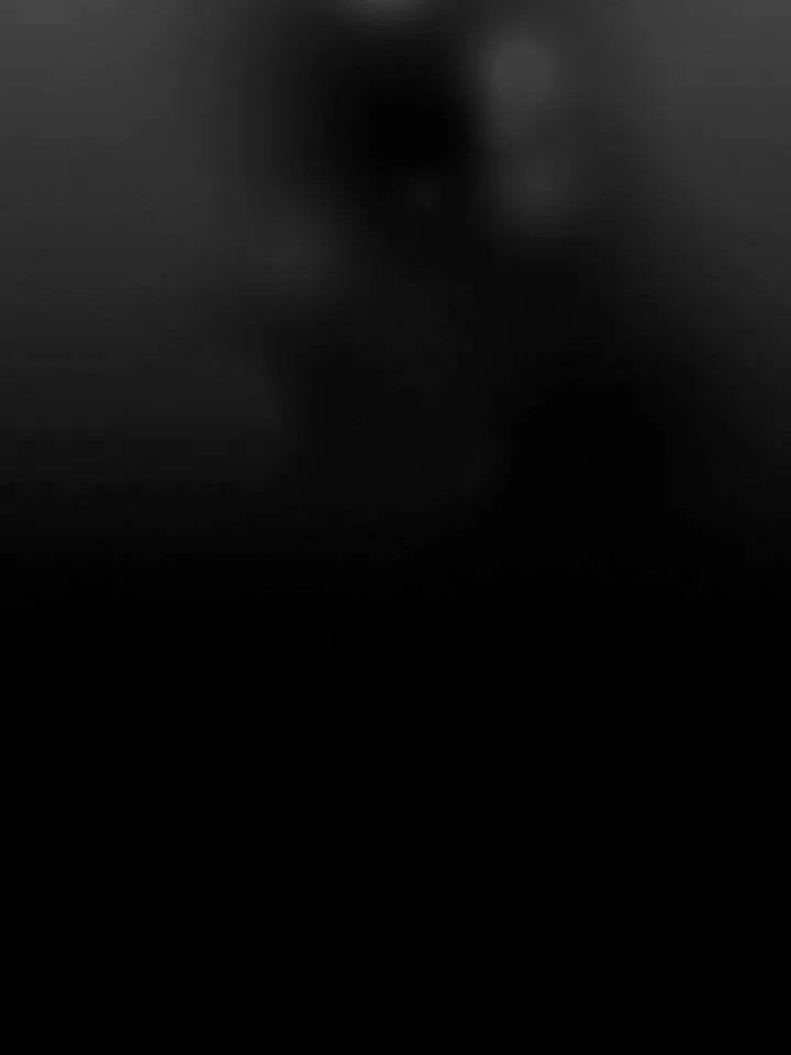 The Fabulous Lives of the Hillington Sisters Vol. 1 Ch. 3 第27页