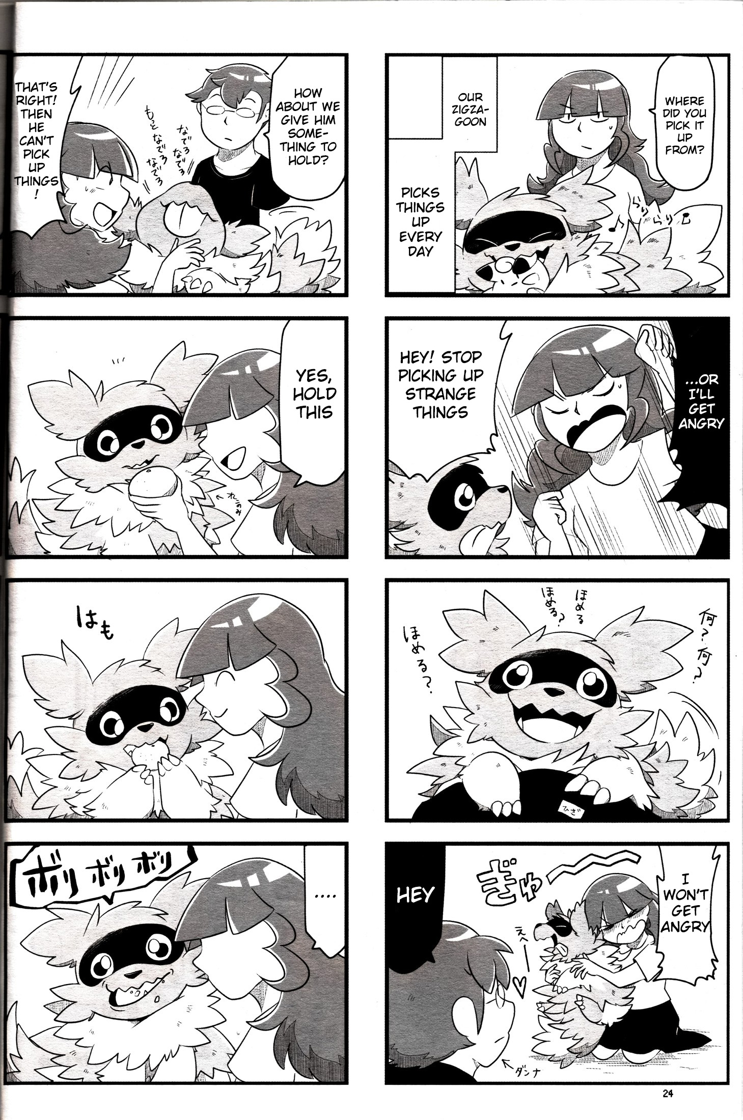 Zigzag DX! Zigzagoon Anthology Unofficial Fanbook Zigzagoon Diary 第2页