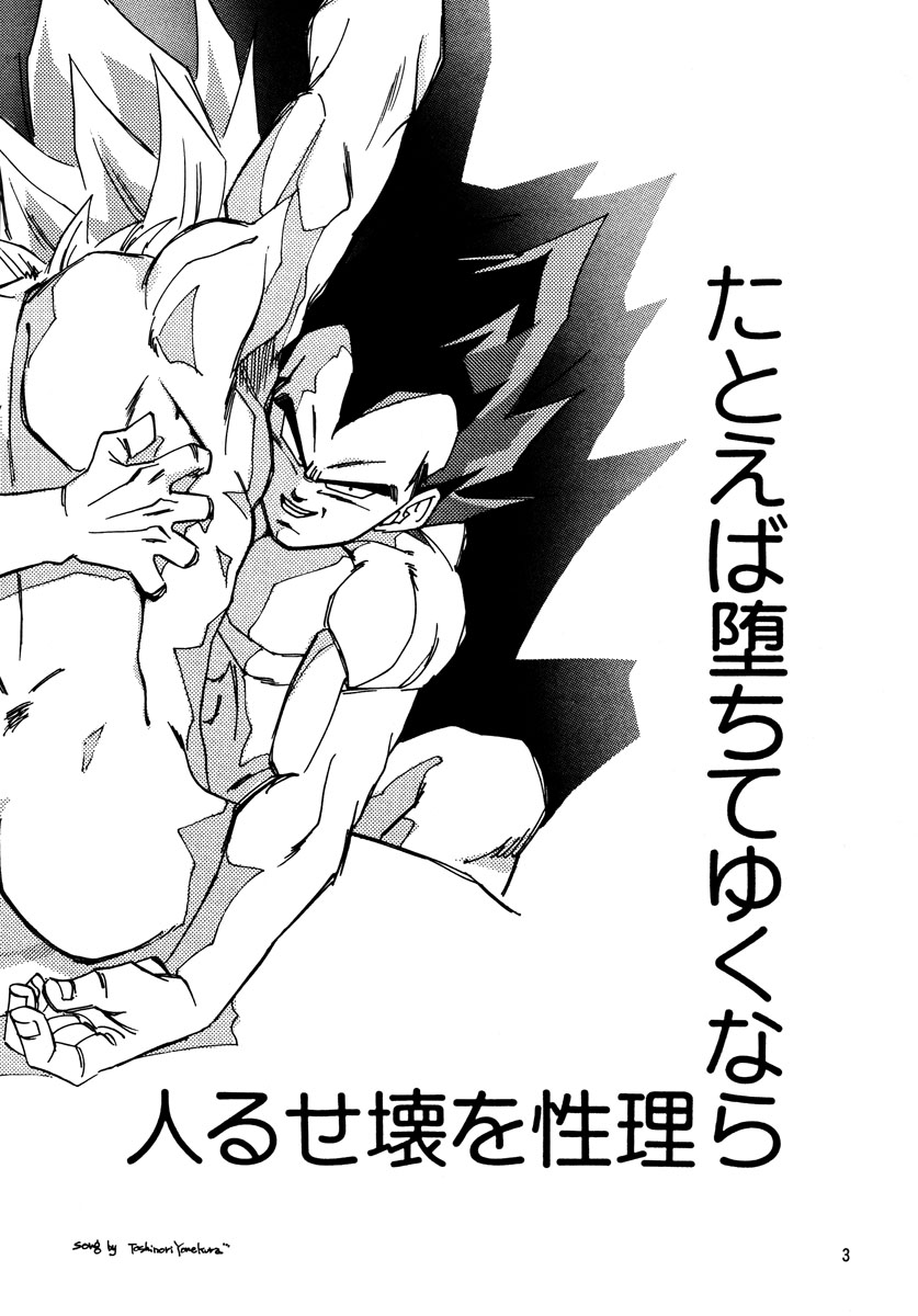 Dragon Ball - Eternal Puzzle (Doujinshi) 第3页