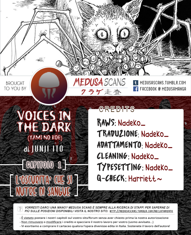 Voices in the Dark 第1页