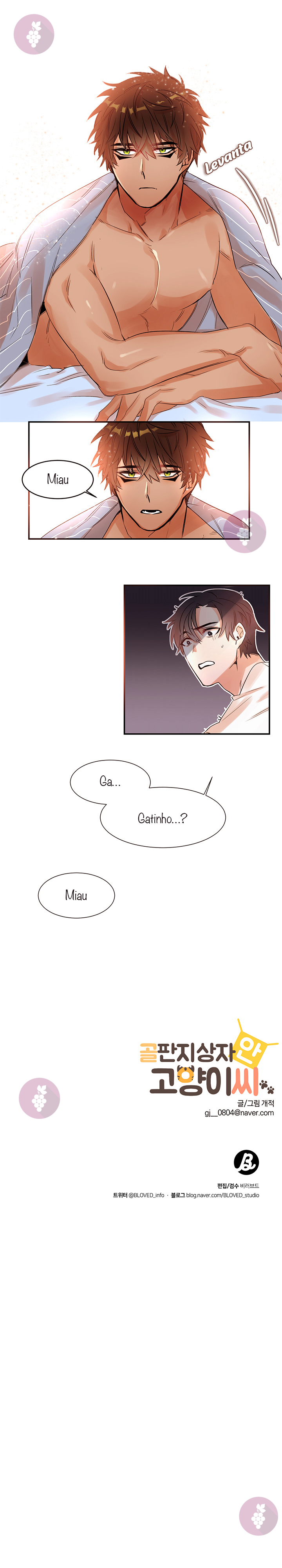 Cat in a Cardboard Box Vol. 1 Ch. 1 第11页