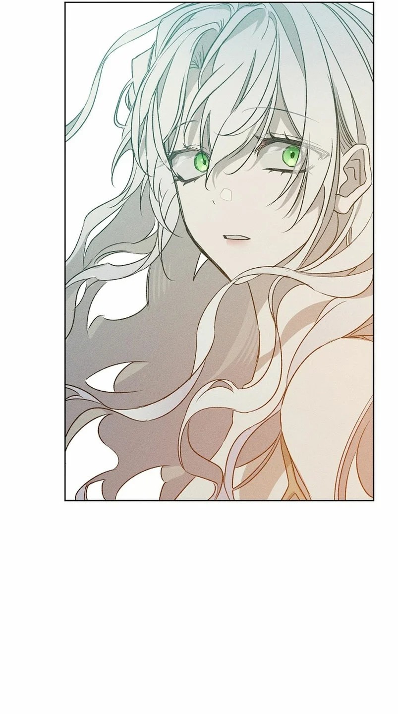 My Husband Who Hates Me Has Lost His Memories Ch. 2 第41页