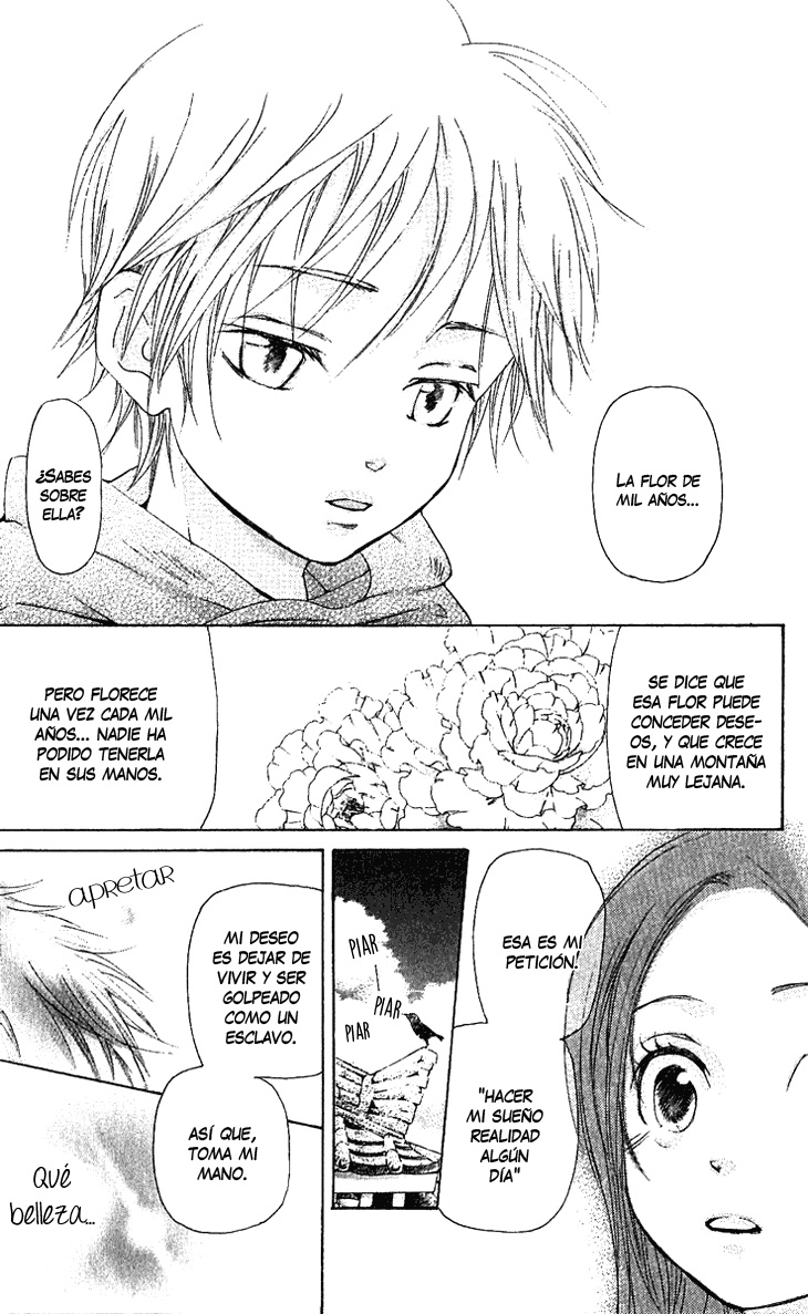 The Queen's Flower Vol. 1 Ch. 1.1 第33页