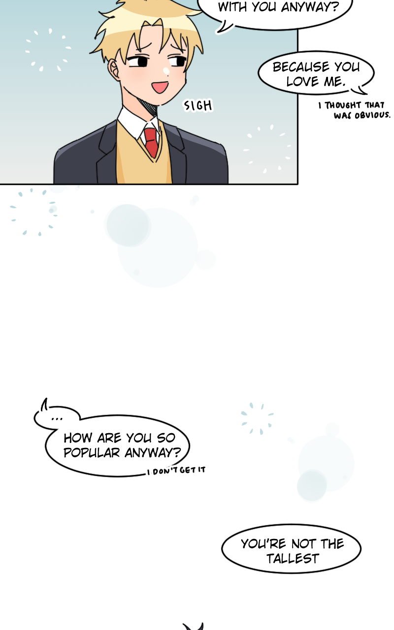 SIN Pilot 第31页