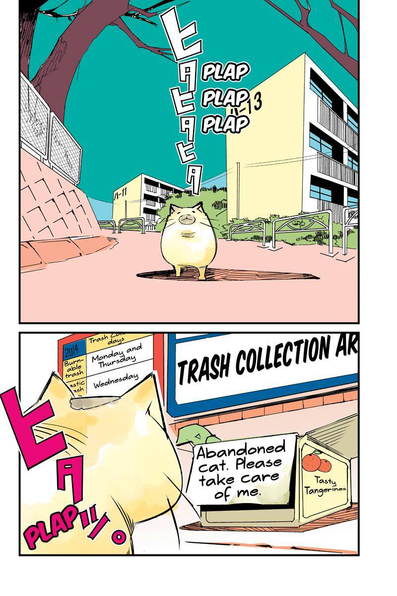 Tawara Neko to Machigai Jinsei 第2页
