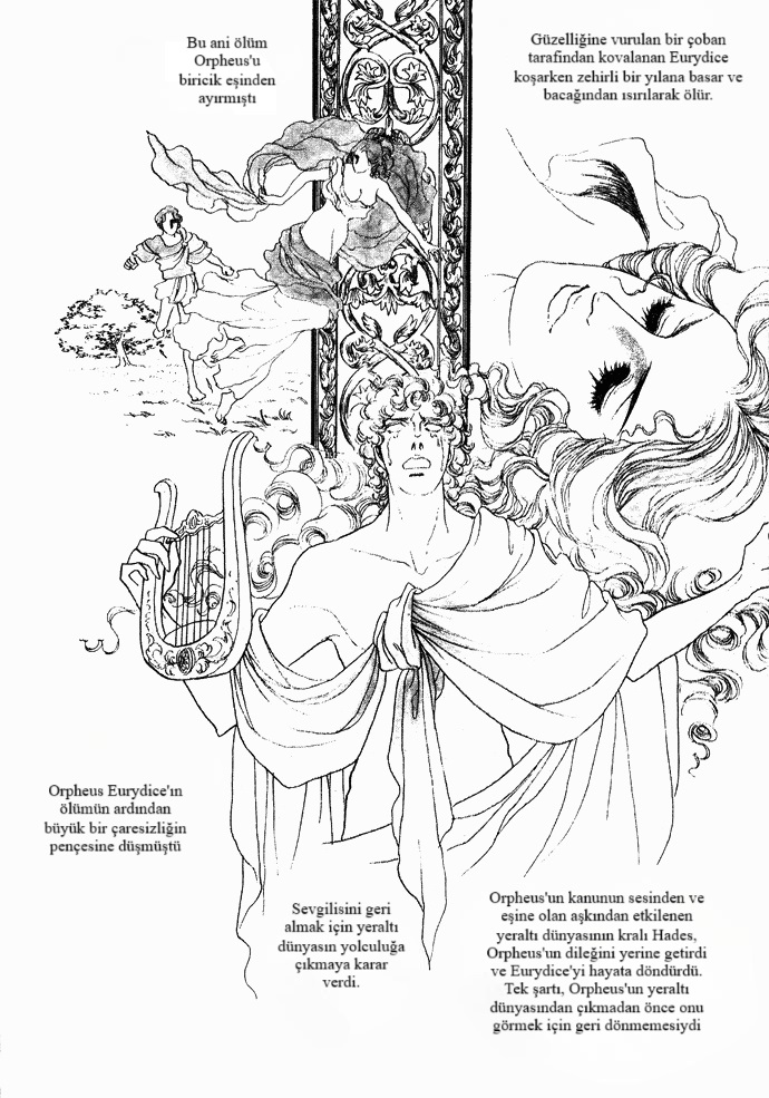 The Window of Orpheus 第3页
