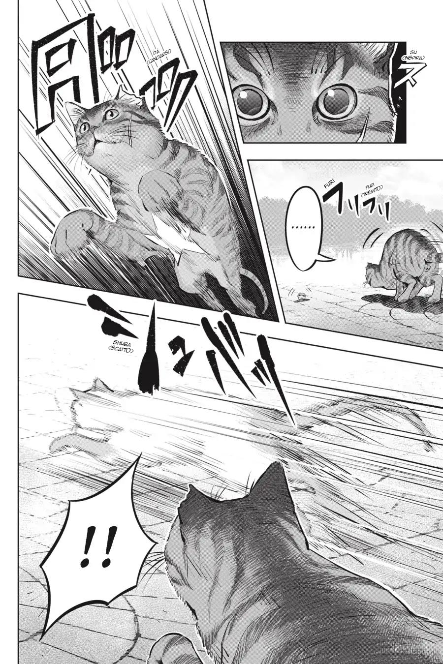 Nyankees Il suo nomiao è... 第11页