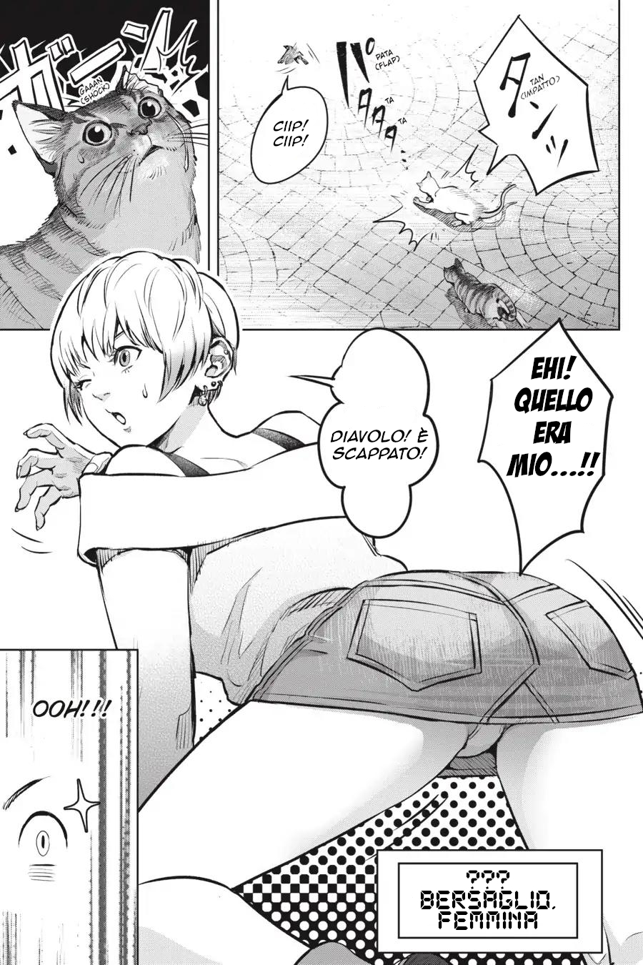 Nyankees Il suo nomiao è... 第12页