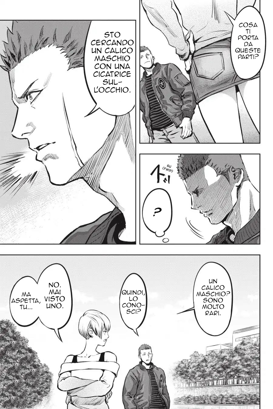 Nyankees Il suo nomiao è... 第16页