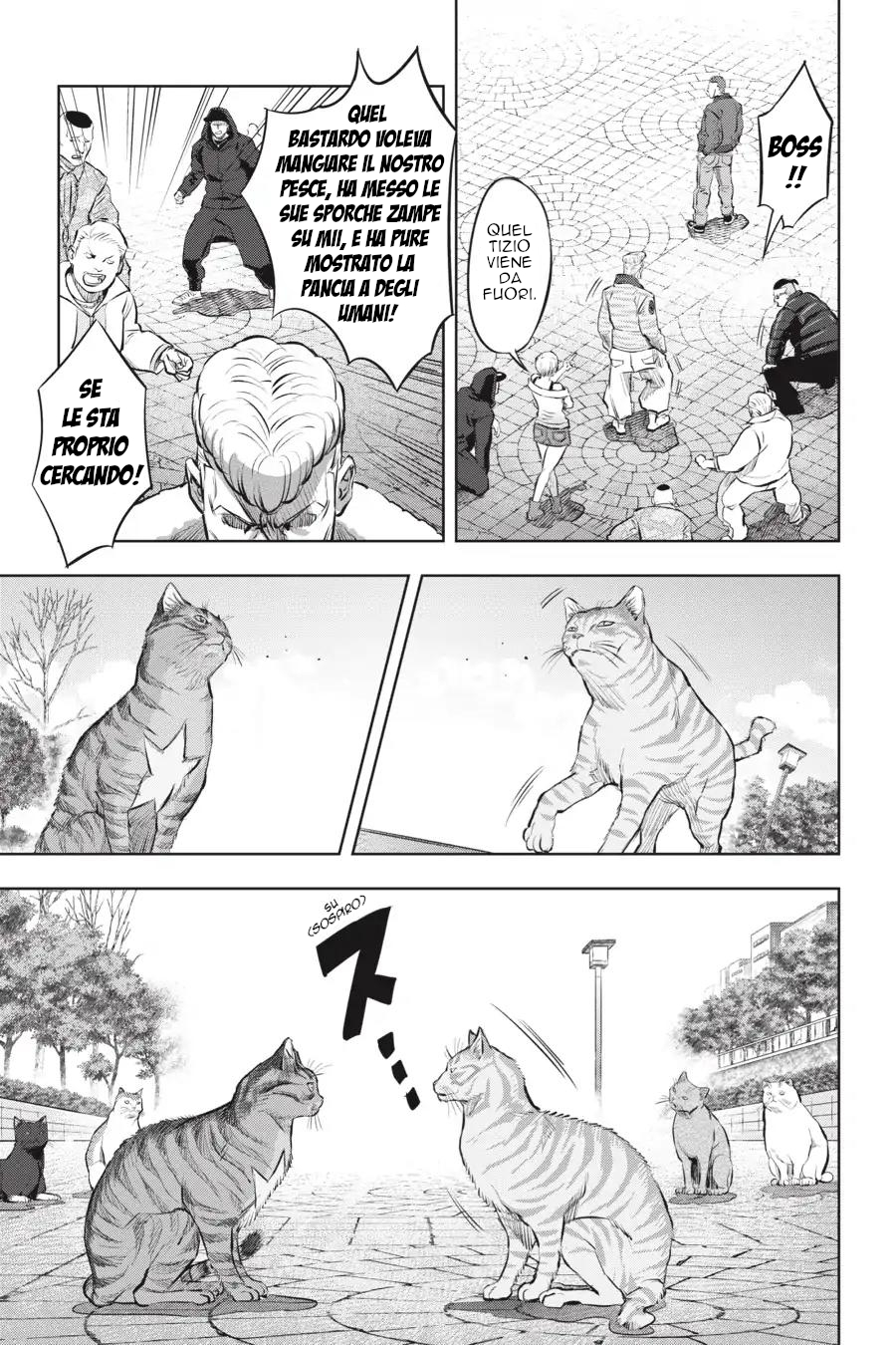 Nyankees Il suo nomiao è... 第28页