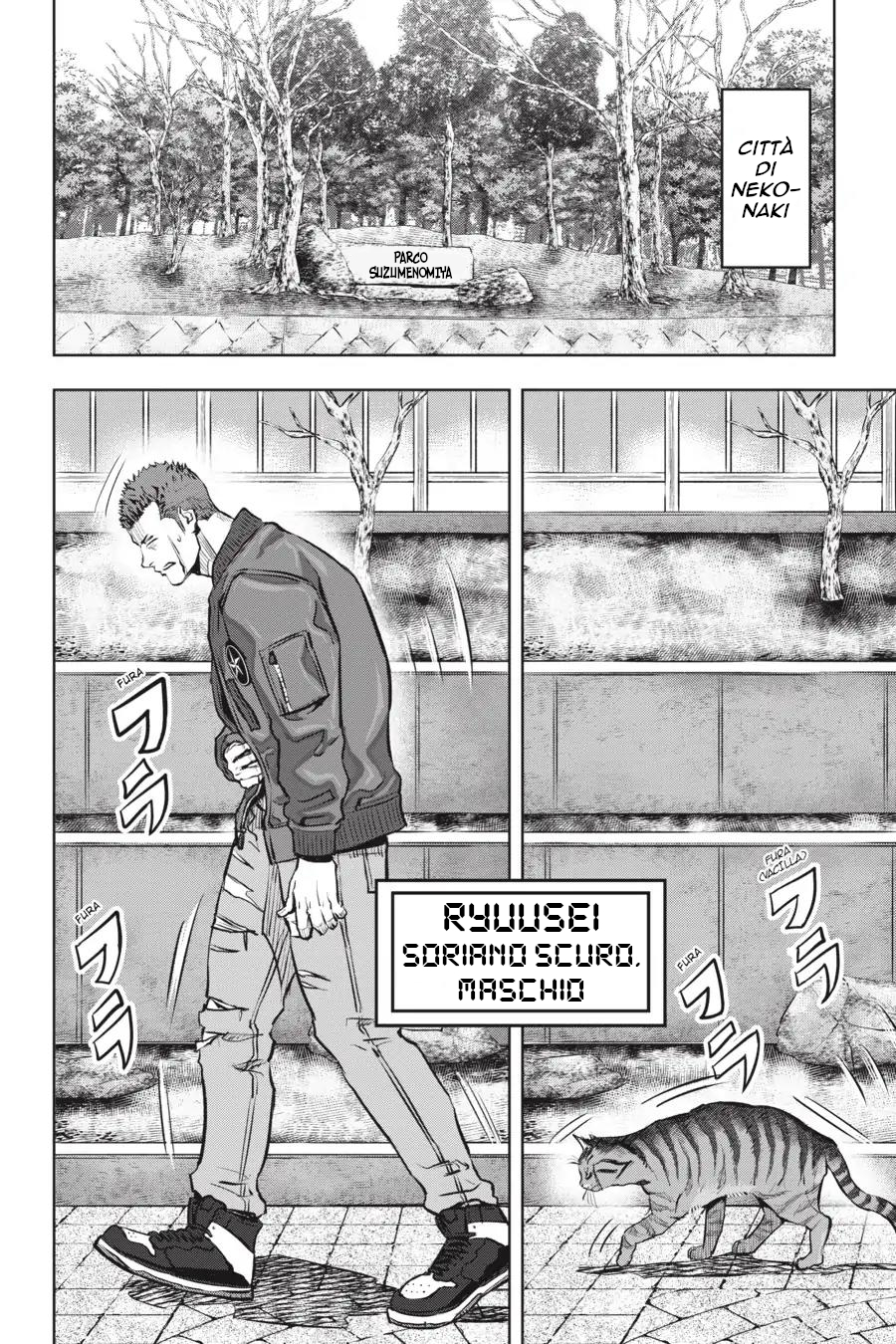 Nyankees Il suo nomiao è... 第9页