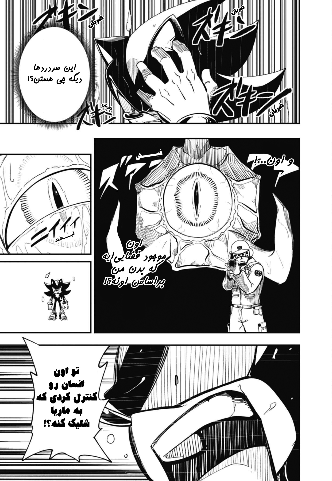 The Jet Black Hedgehog: Shadow the Hedgehog Vol. 1 Ch. 2 第4页