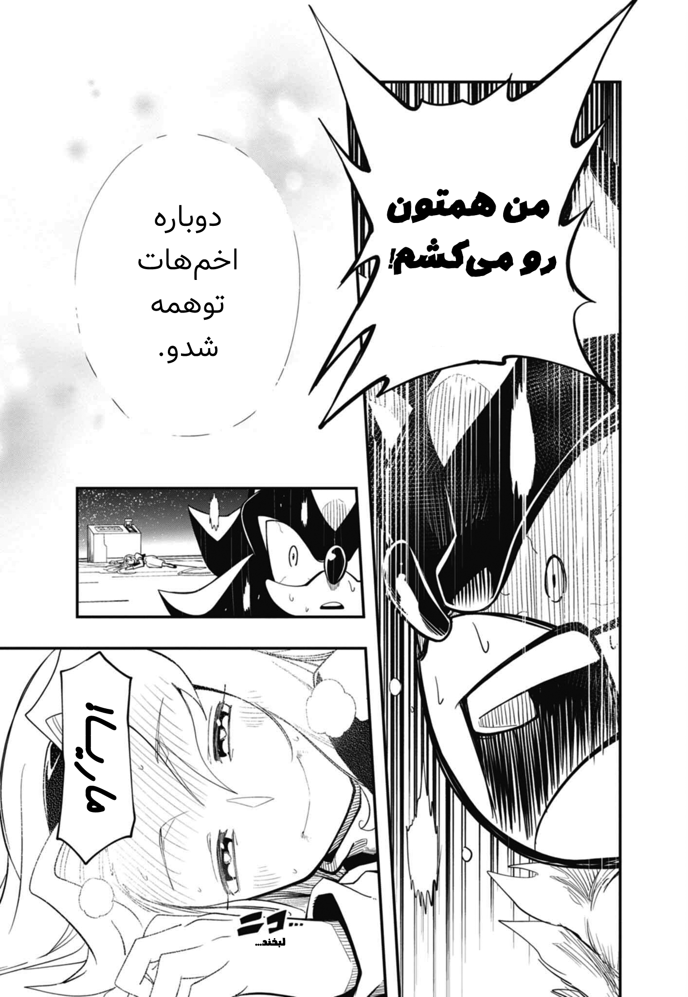 The Jet Black Hedgehog: Shadow the Hedgehog Vol. 1 Ch. 2 第6页