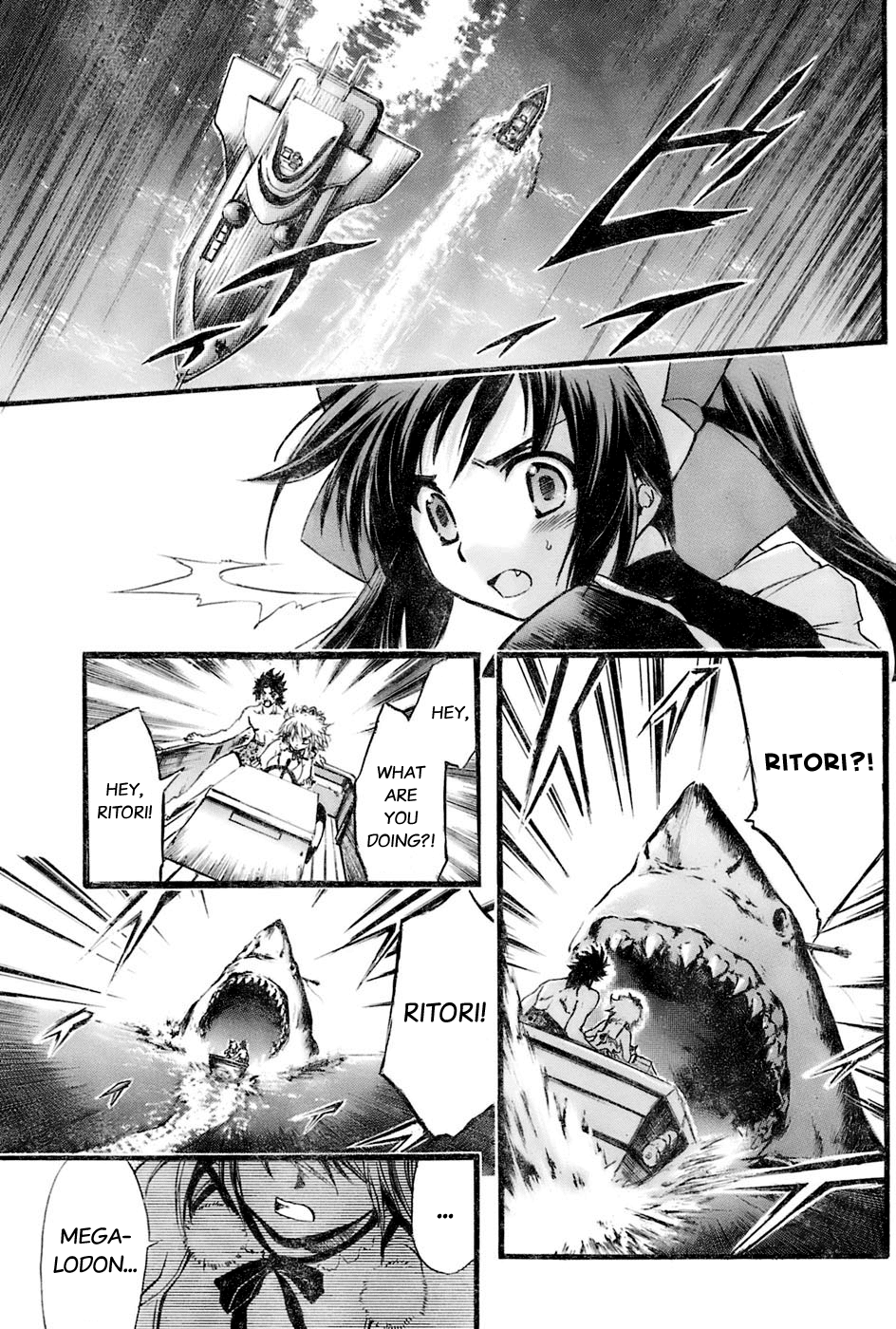 Seven Ocean Carcharodon Megalodon 第24页