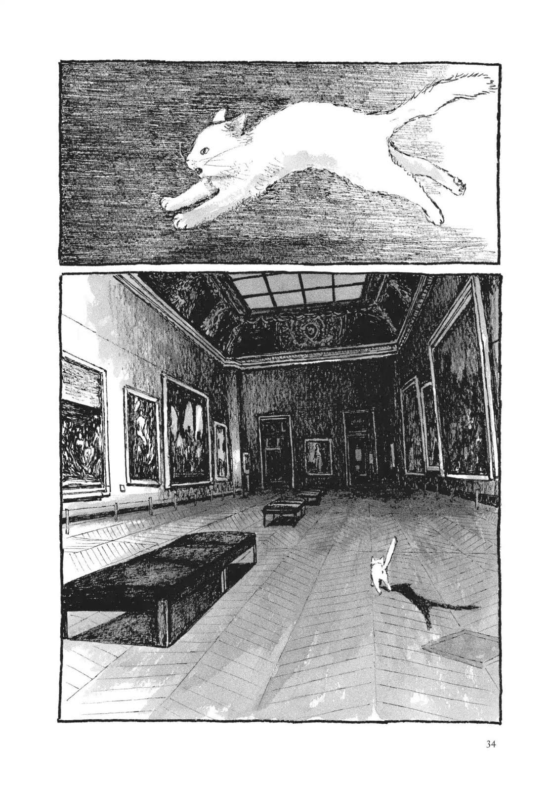 Cats of the Louvre O Segredo do Sótão 第31页