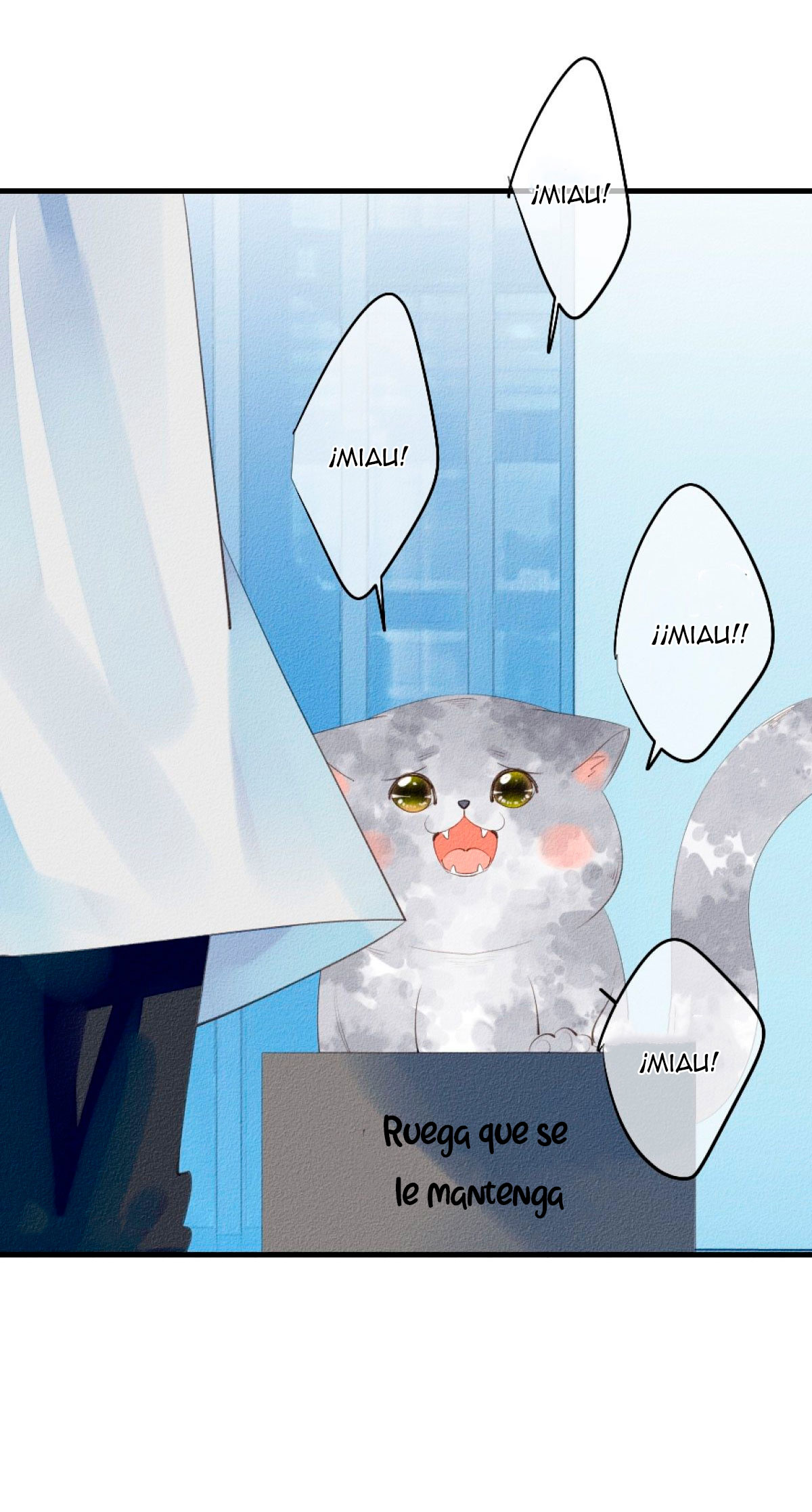 The stray cat I picked up turned into a human? La gente ni siquiera quería llevarte a casa 第9页