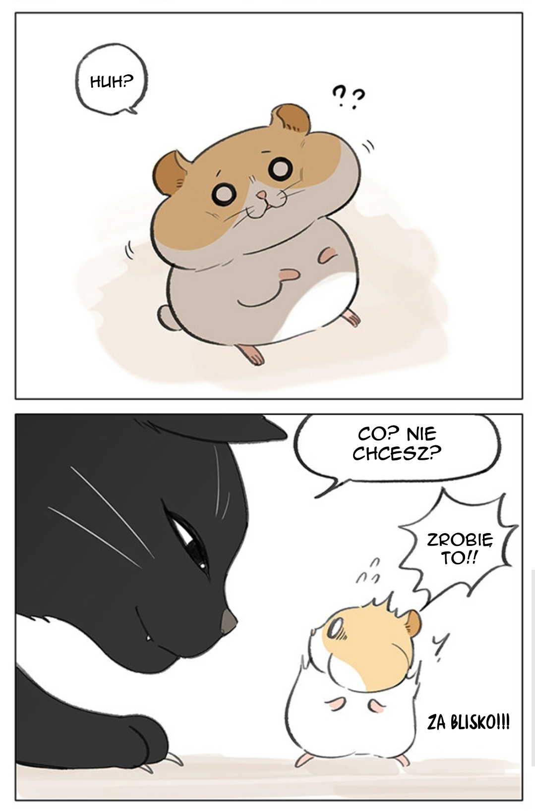 Hamster 第6页
