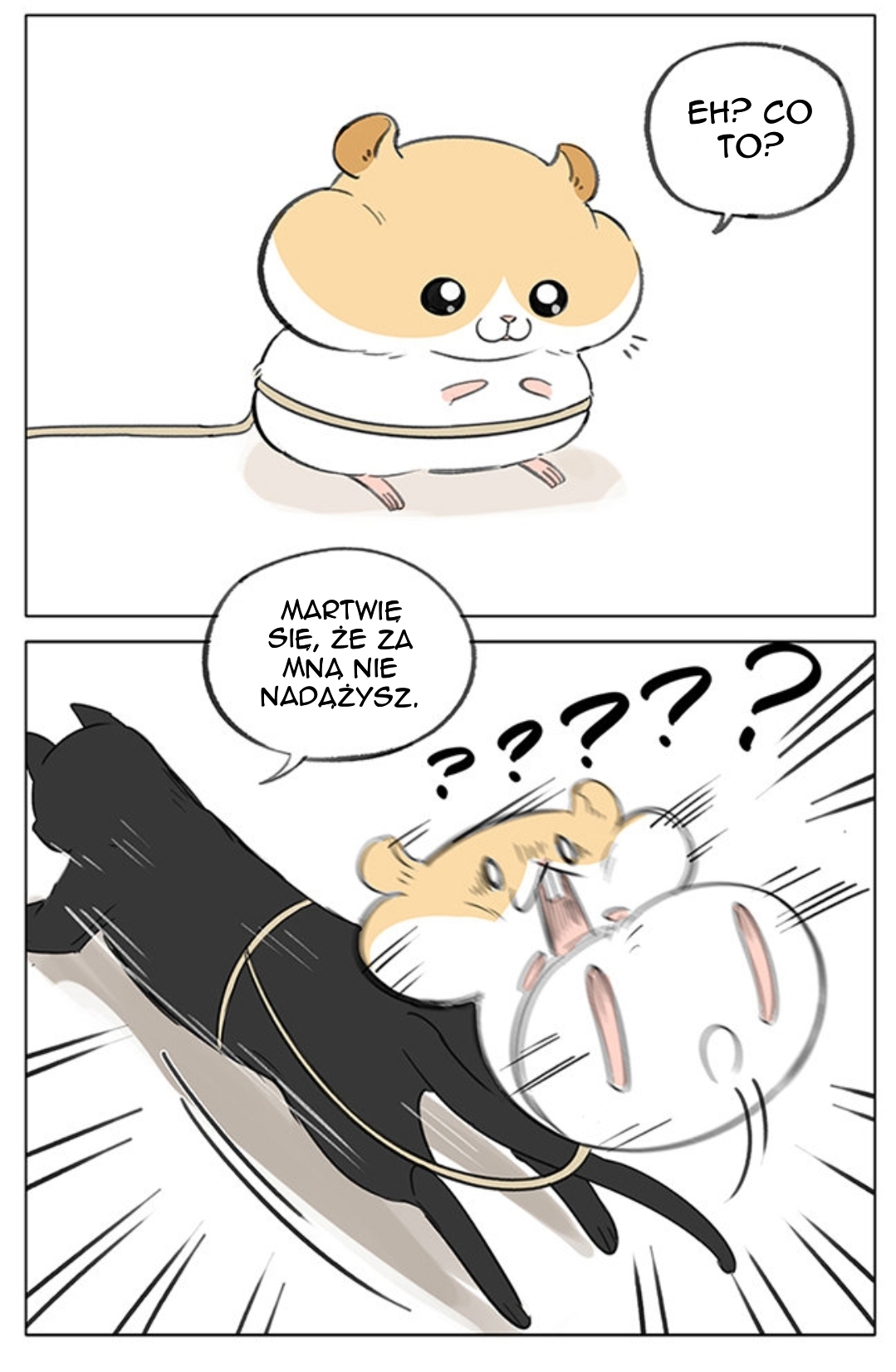 Hamster 第8页