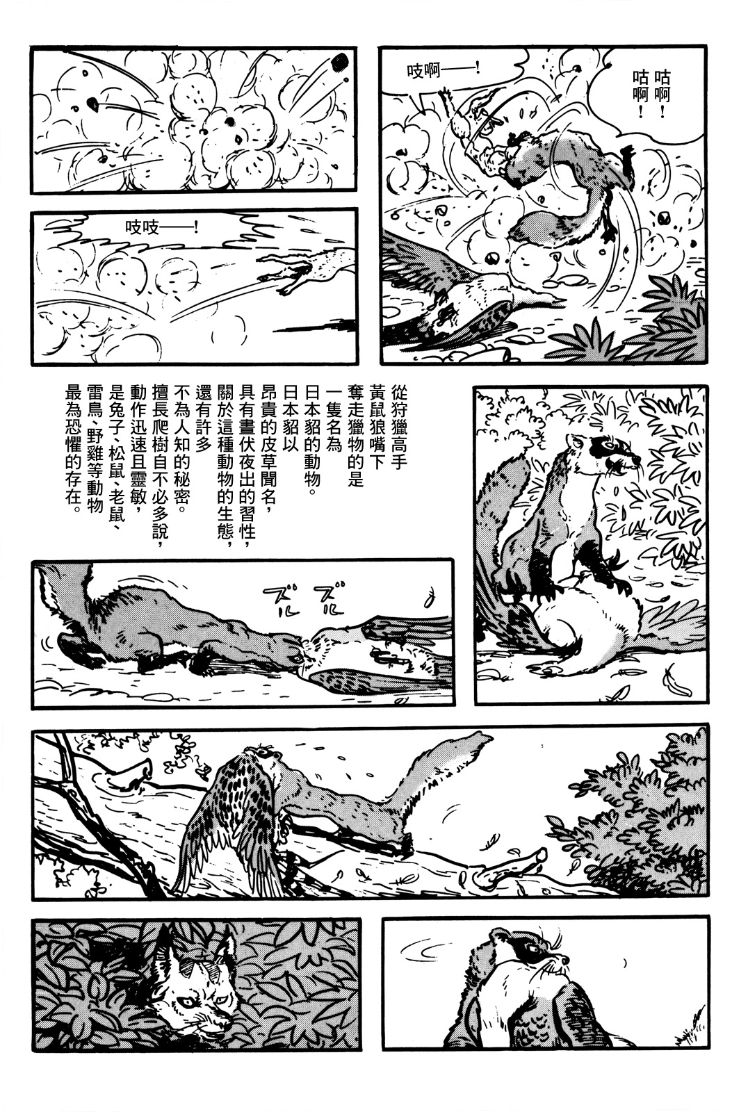 The Legend of Kamui 誕生 第60页