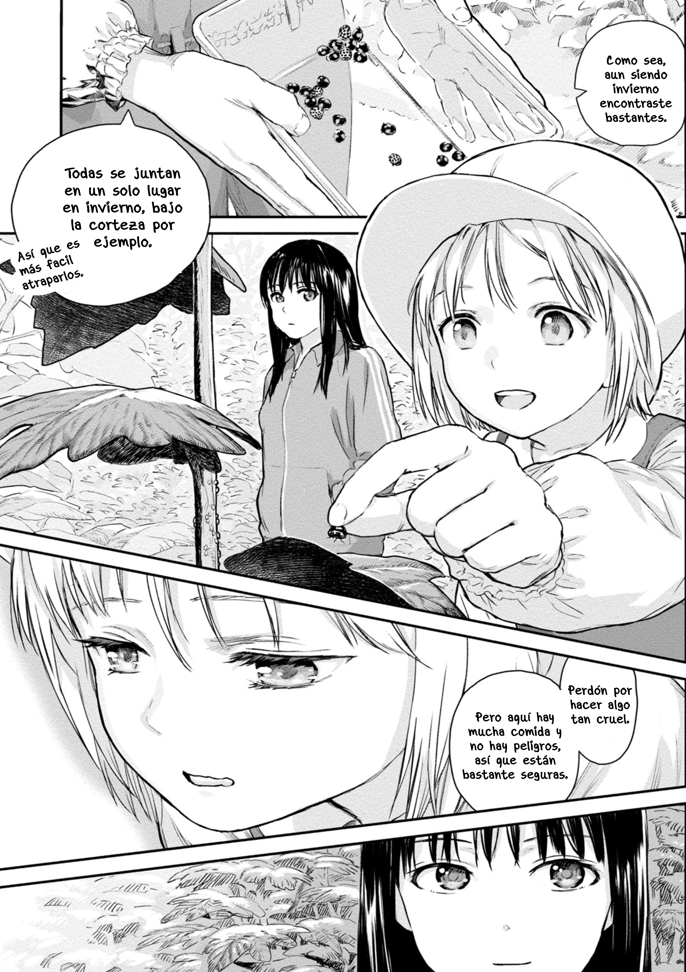Mai's Insect Life Catarina 第6页