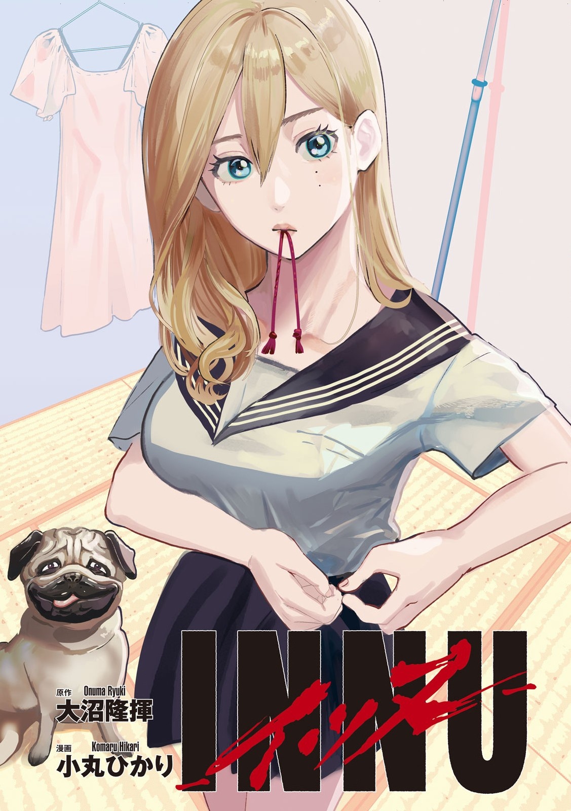 INNU Chú chó bình thường 第2页