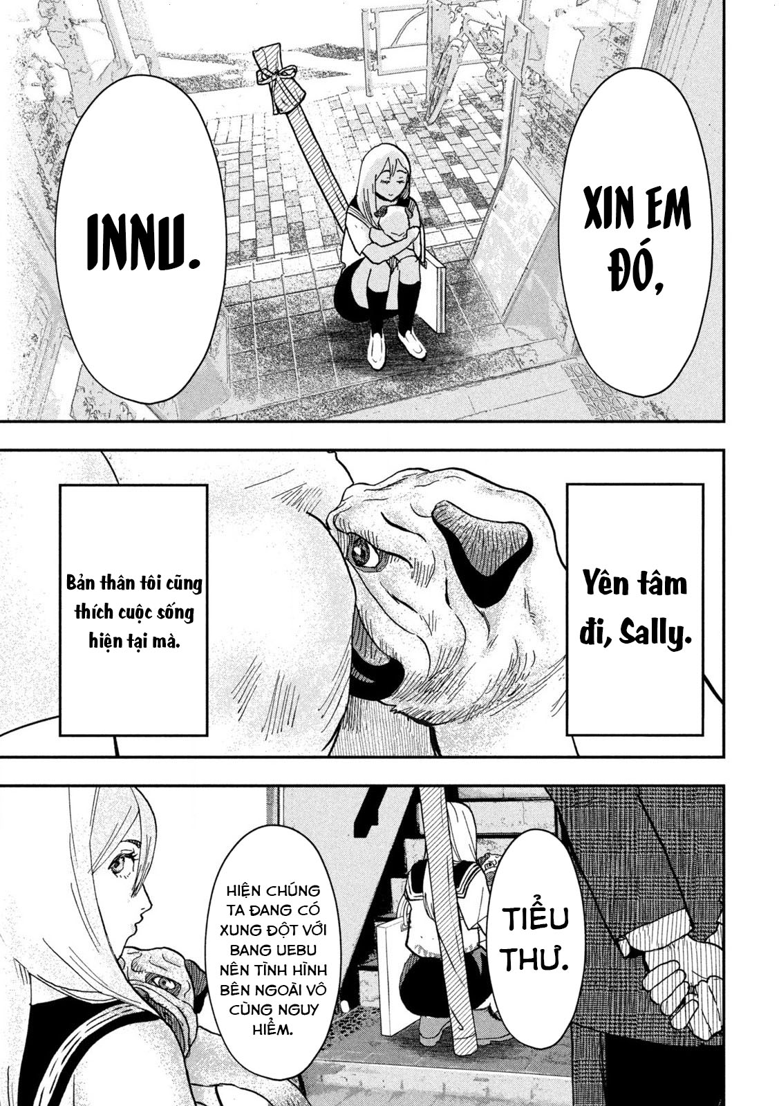 INNU Chú chó bình thường 第5页