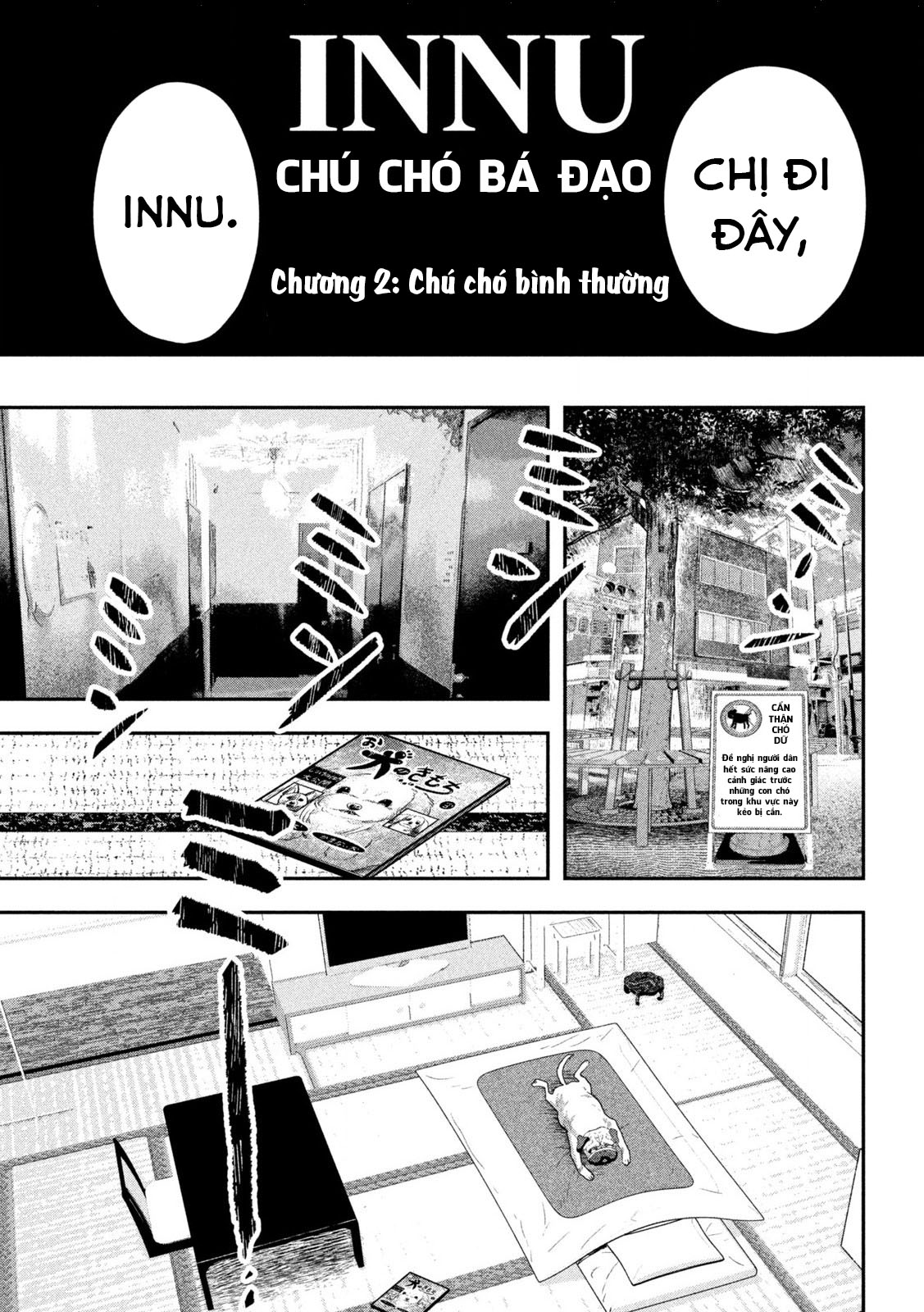 INNU Chú chó bình thường 第8页