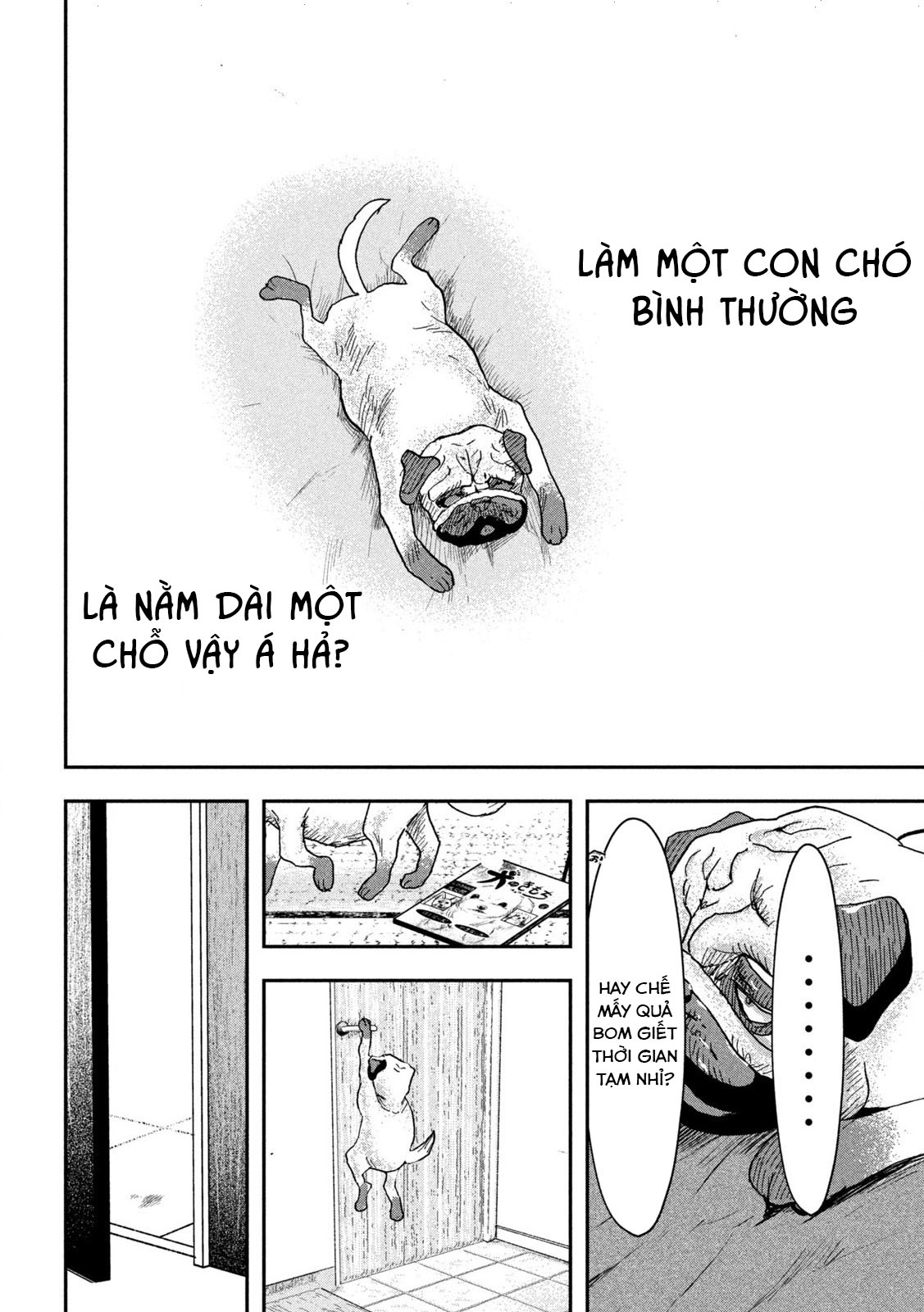 INNU Chú chó bình thường 第9页