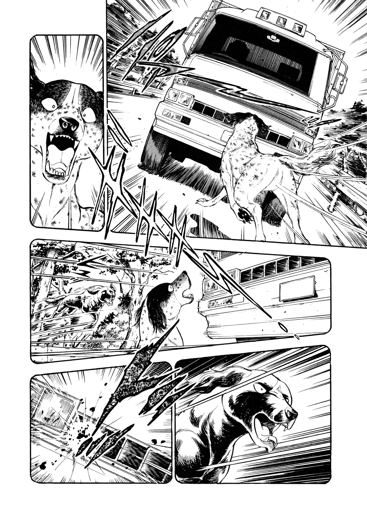 Ginga Densetsu Weed Una orden de Nero 第19页