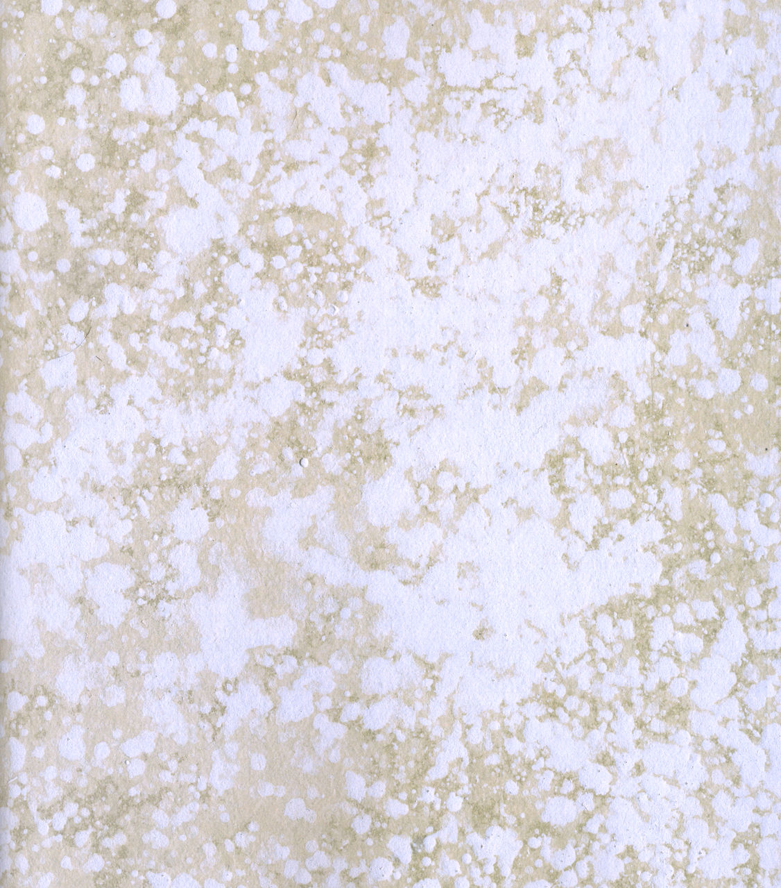 Exhibition Catalog INOUENO: Mangetsu Edition Oneshot 第73页