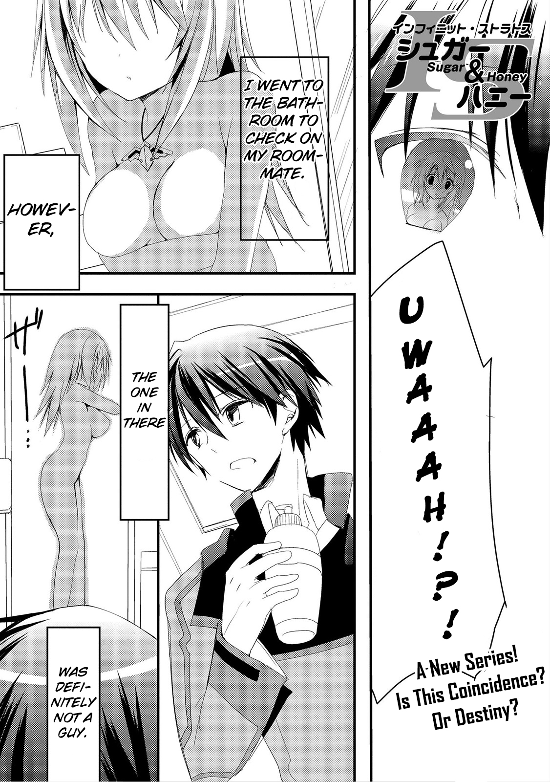 Infinite Stratos - Sugar & Honey 第2页