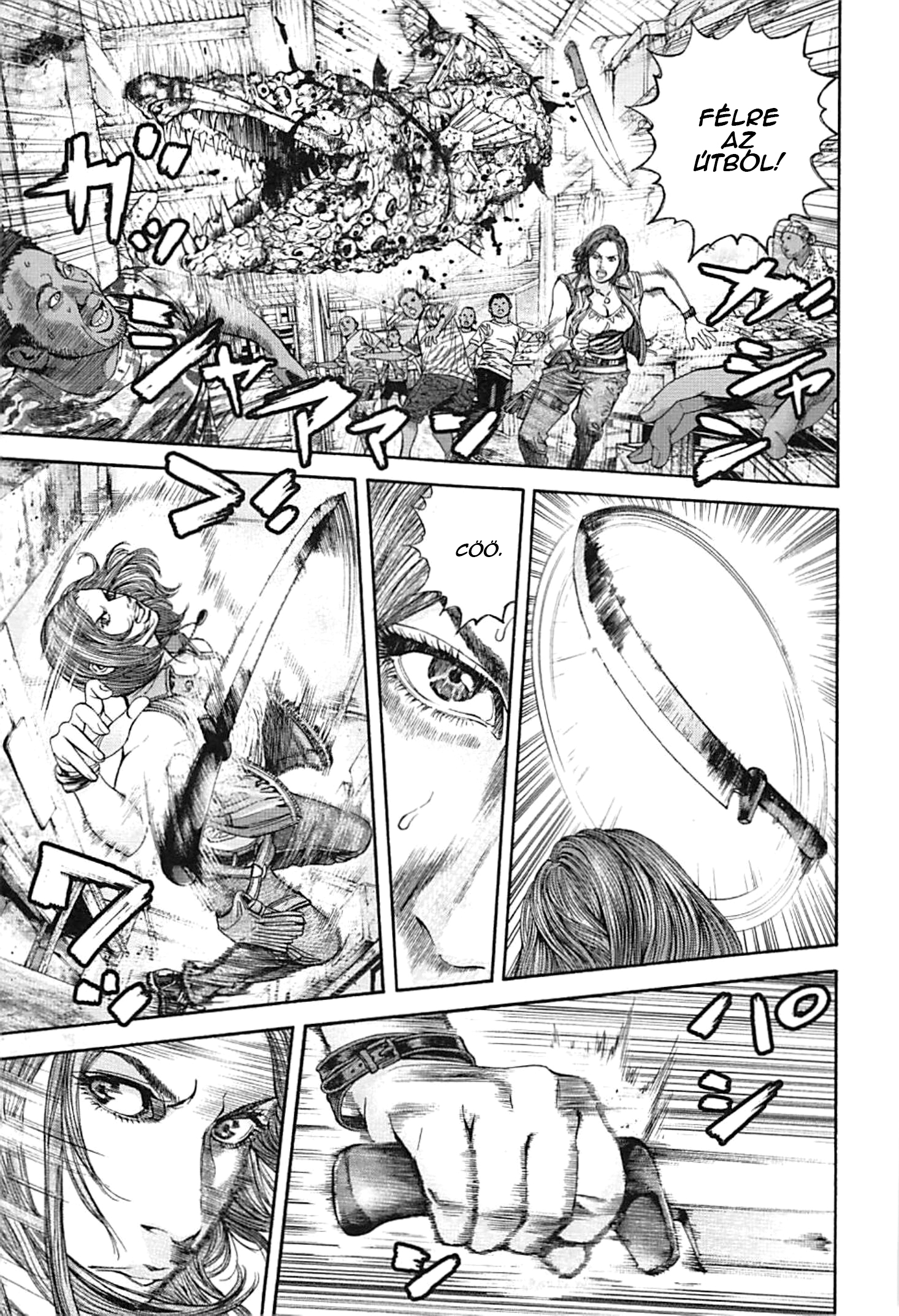 Resident Evil: Heavenly Island A paradicsom 第27页