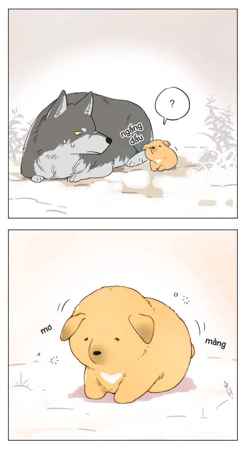 The Wolf That Picked Something Up Vua sói nhặt được một chú chó con 第4页