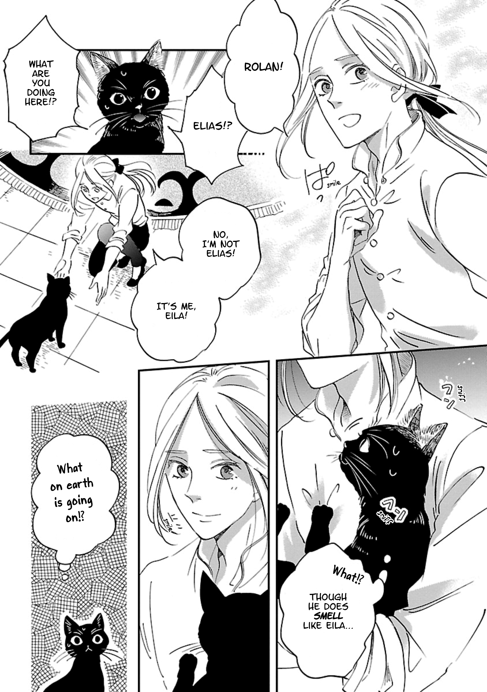 Eila to Totsukuni no Ou Vol. 2 Ch. 6 第11页