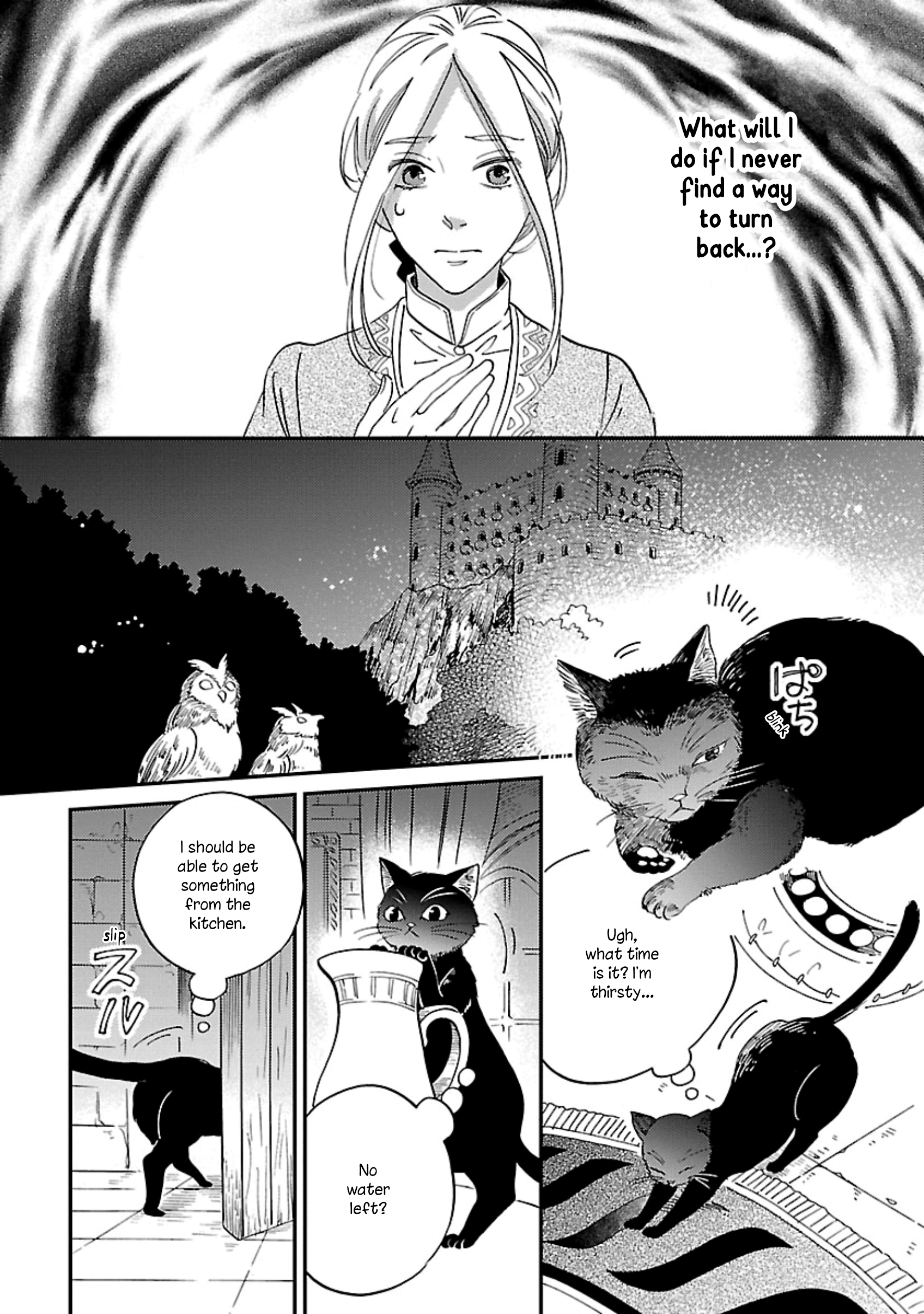 Eila to Totsukuni no Ou Vol. 2 Ch. 6 第30页